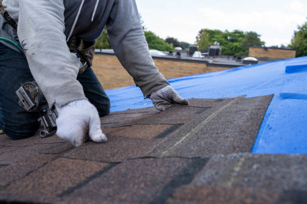 Best Metal Roofing Contractor  in Tri City, OR